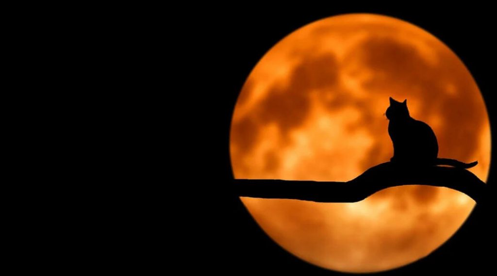 Rüyada Ay Görmek, Dolunay, Kırmızı Ay Ne Anlama Gelir? Ay Rüya Yorumları
