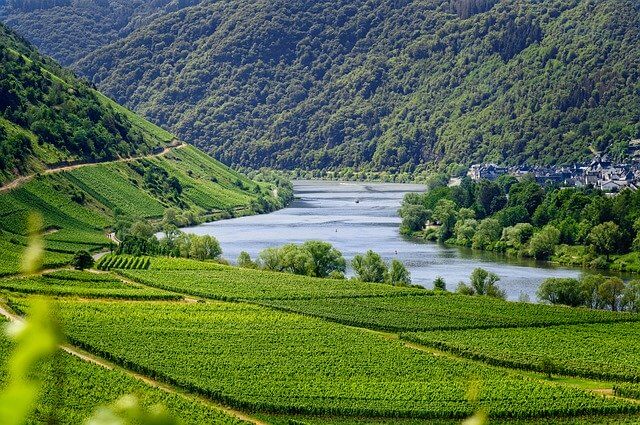 Moselle Irmağı