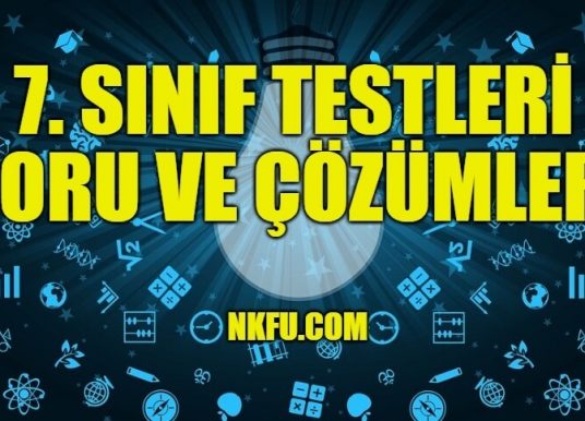 7. Sınıf Ekonomi ve Sosyal Hayat İle İlgili Testler