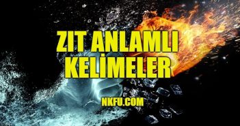 Zıt Anlamlı Kelimeler İle İlgili Cümleler - Zıt Anlamlı Kelimeler Aynı